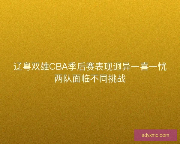 辽粤双雄CBA季后赛表现迥异一喜一忧两队面临不同挑战