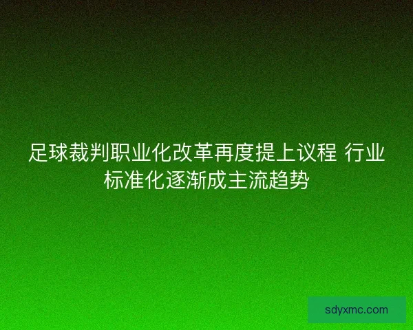 足球裁判职业化改革再度提上议程 行业标准化逐渐成主流趋势